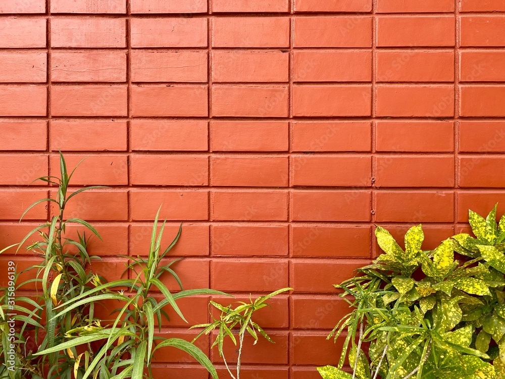 New brown brick wall with plant background in Thailand