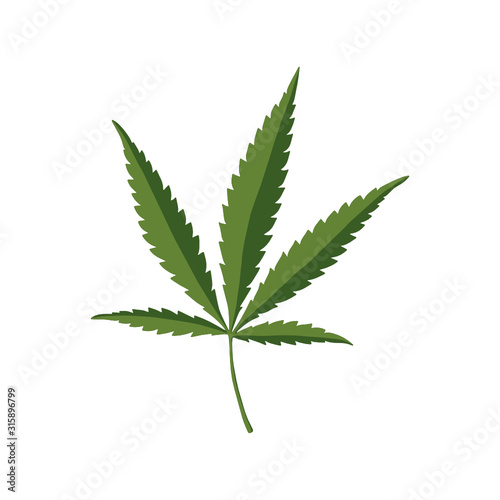 Green Hemp leaf. Cannabis vector icon. Isolated vector illustration.