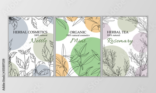Herbal cosmetics card template. Modern illustration for design and web.