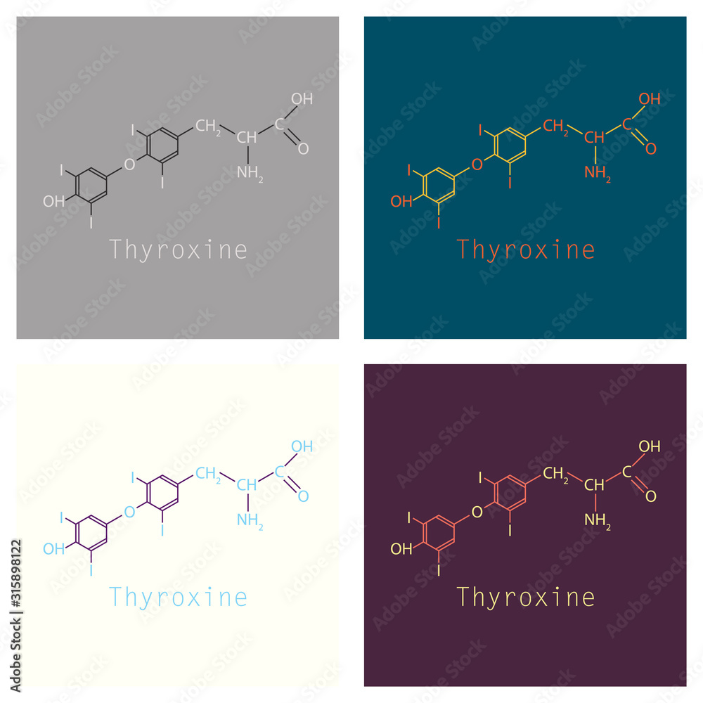 Thyroxine (T4, levothyroxine) thyroid hormone molecule. Prohormone of thyronine (T3). Used as drug to treat hypothyroidism. Skeletal formula.