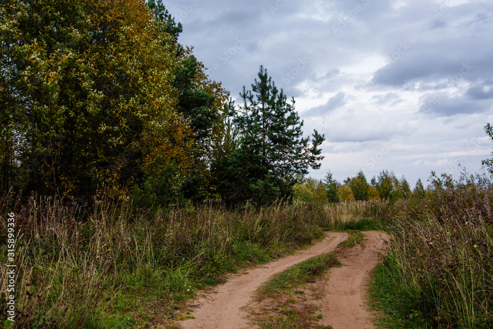 Autumn landscape. Russian nature. Dirt road in the field. Trees and bush. Autumn landscape. Russian nature. Dirt road in the field. Trees and bush.
