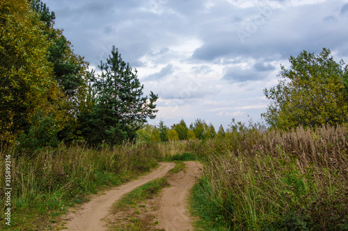 Autumn landscape. Russian nature. Dirt road in the field. Trees and bush.