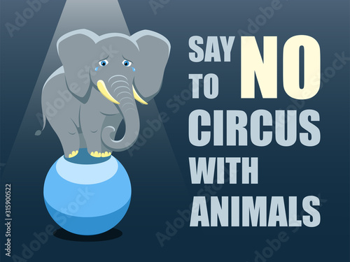 Say no to circus with animals. Poster against abuse animals in circuses. Banner with text and grey elephant on the ball on blue background. Problem of exploitation of wild animals in circuses. Flat.