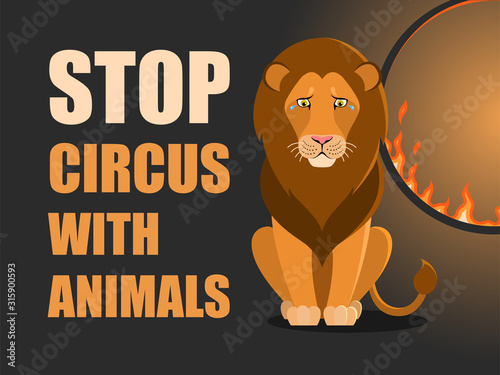 Stop circus with animals. Poster against abuse animals in circuses. Banner with text and lion near flaming hoop on black background. Problem of exploitation of wild animals in circuses.