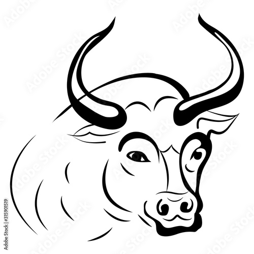 Silhouette bull head (taurus), close up on a white background