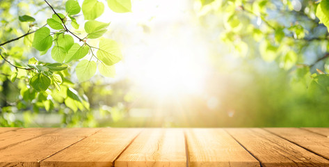 Spring beautiful background with green juicy young foliage and empty wooden table in nature outdoor. Natural template with Beauty bokeh and sunlight.