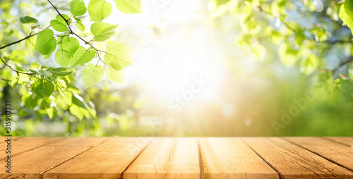 Spring beautiful background with green juicy young foliage and empty wooden table in nature outdoor. Natural template with Beauty bokeh and sunlight.