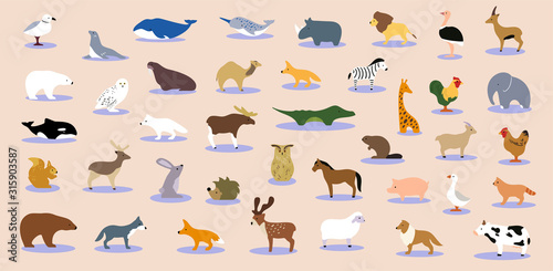 Big collection of wild jungle, savannah and forest animals, birds, marine mammals, fish. Set of cute cartoon isolated characters and icons. Colorful vector illustration in flat style. © Katerina