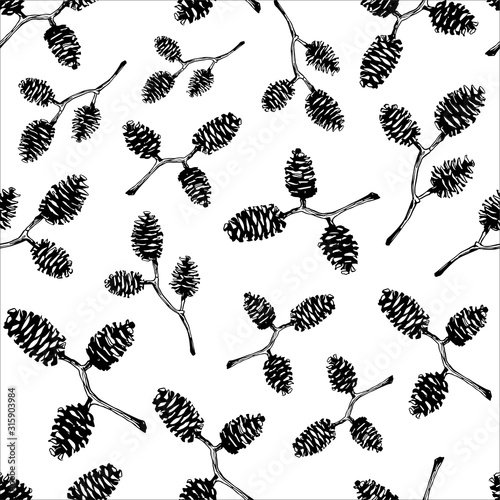 Quadro em tela Seamless pattern with hand drawn vector illustration of alder cones