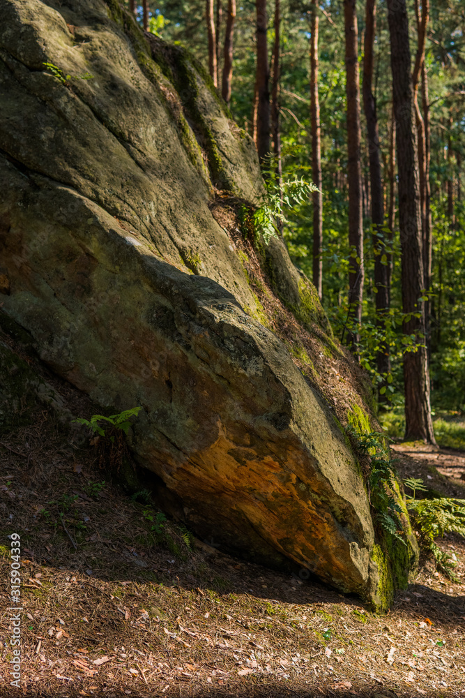 landscape with a large sandstones inside of a forest landscape with a large sandstones inside of a forest