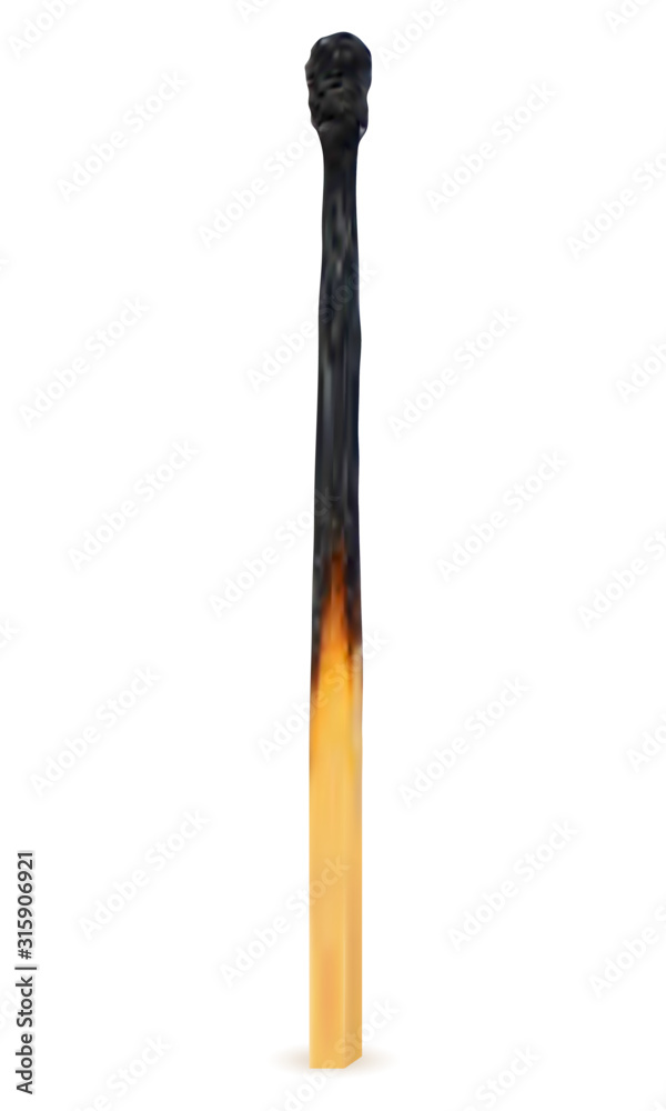 wooden burned and extinct match vector illustration wooden burned and extinct match vector illustration