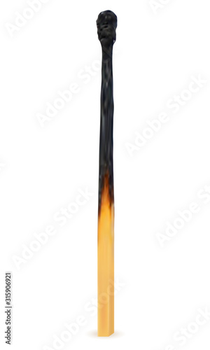 wooden burned and extinct match vector illustration