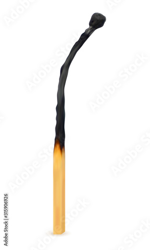 wooden burned and extinct match vector illustration