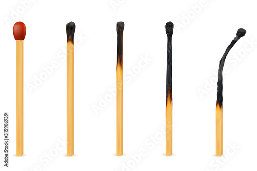 wooden burned and extinct match vector illustration