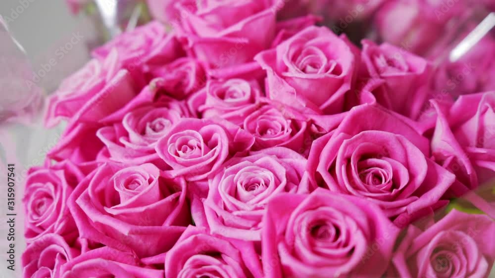 Pink rose floral closeup. Moving macro shot of pink roses. Romantic and pink background. Pink rose floral closeup. Moving macro shot of pink roses. Romantic and pink background.