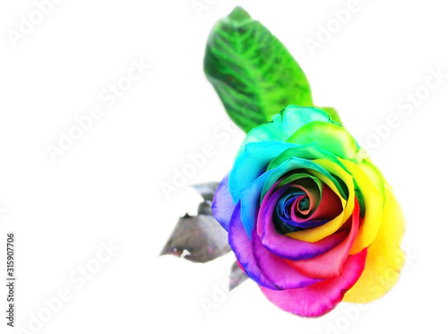  Rose flower. Rainbow. Colored flowers. Creative. Gift. March 8. Artist. Art.