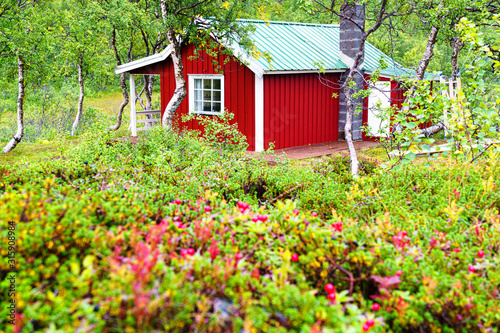 Norwegian wooden cabin hidden in a forest. These types of huts are mainly used for tourists or fishermen. Nowdays they are popular weekend gataway from the city to countryside areas. photo