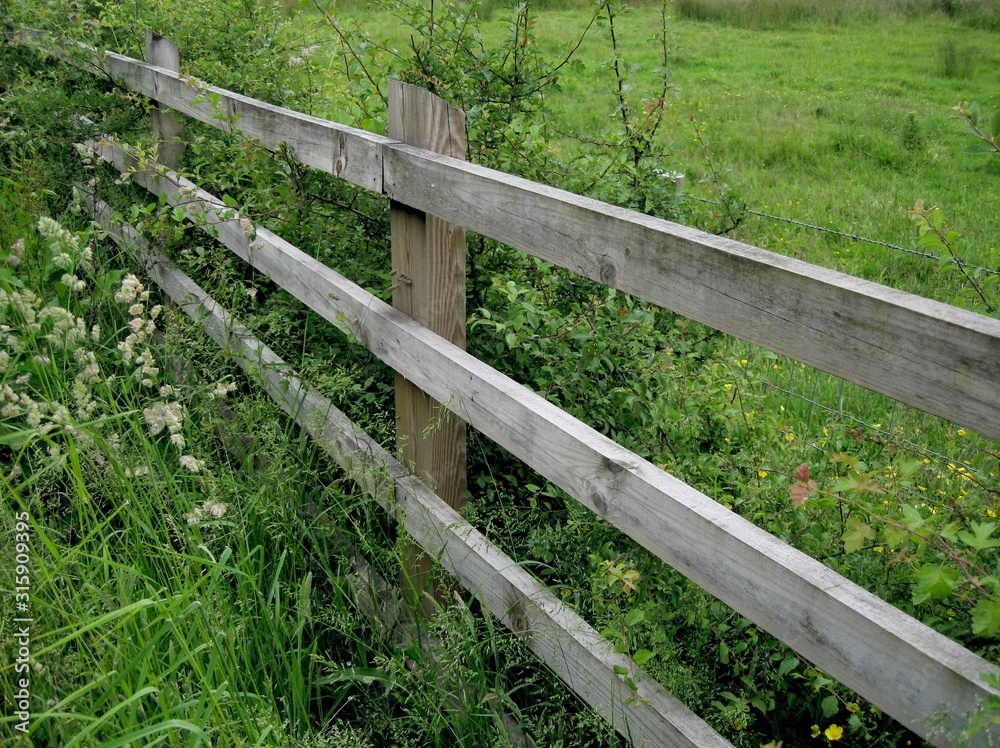 Wooden fence around the field