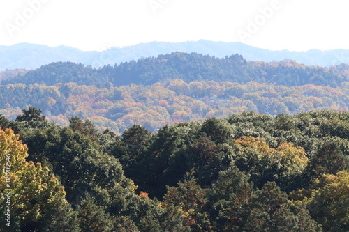 岐阜県　土岐市　街並み