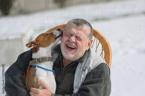 Cute basenji dog licks master's ear discharging it's everyday obligations for the  contented leader