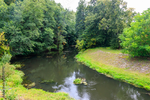 Small river in a green forest