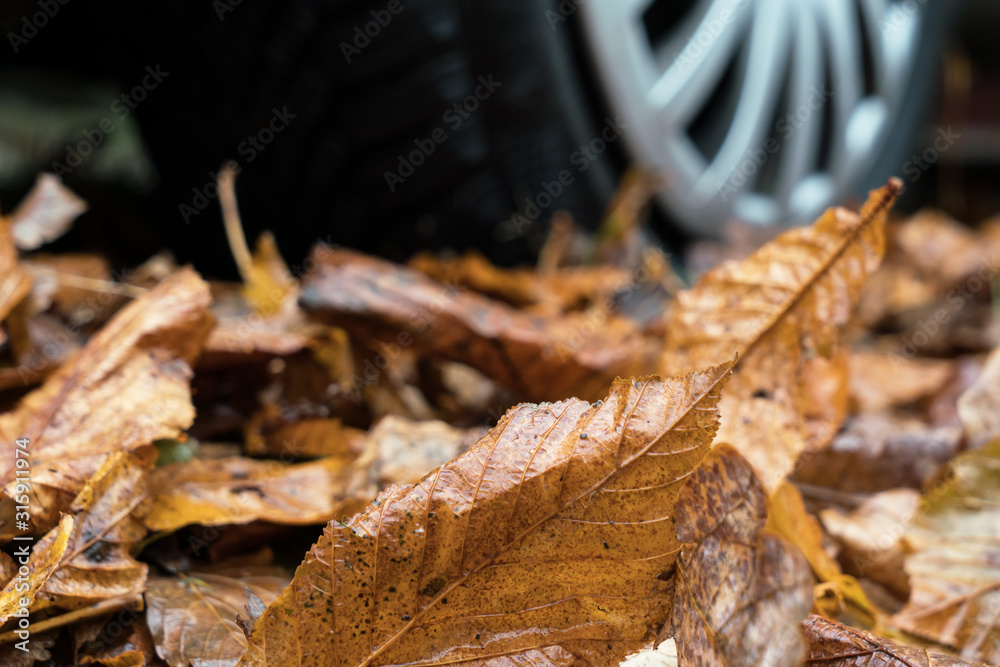 Fallen wet autumn leaves with selective focus in the front and car wheel in the blurred background seen from low angle