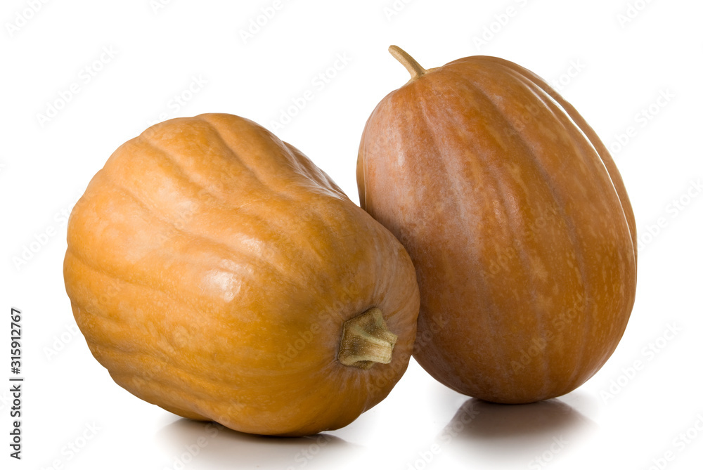 isolated image of pumpkin close-up