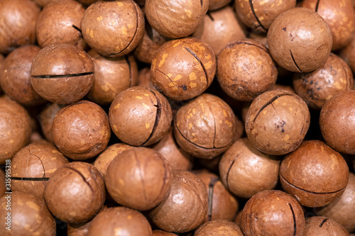 Organic macadamia nuts in brown shell selling at local market. Healthy and tasty snack and pastry baking ingredient.