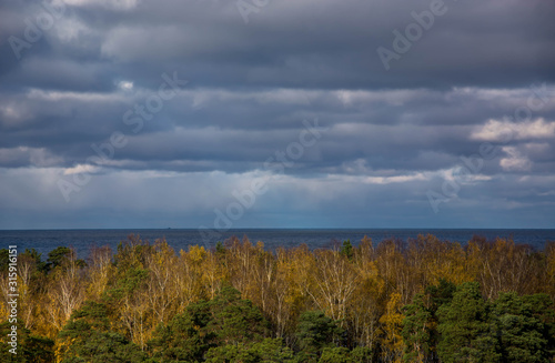 Beautiful autumn landscape. View from above of pine forest. Cloudy sky.
