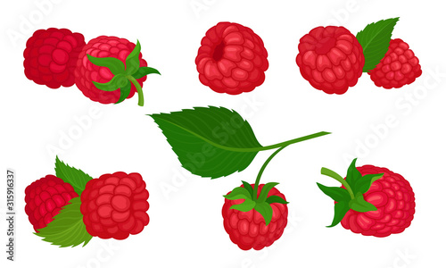 Sweet Raspberry with Leaf Isolated on White Background Vector Set