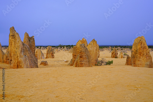 Pink sunrise sky over limestone rock formations in the Pinnacles Desert in Nambung National Park, Cervantes, Western Australia