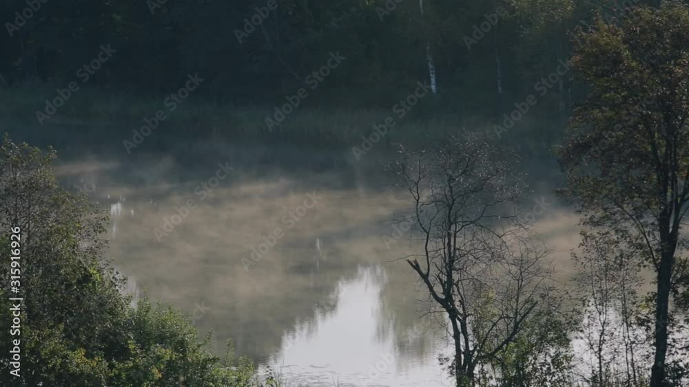 Early summer morning fog spreads over the river Early summer morning fog spreads over the river