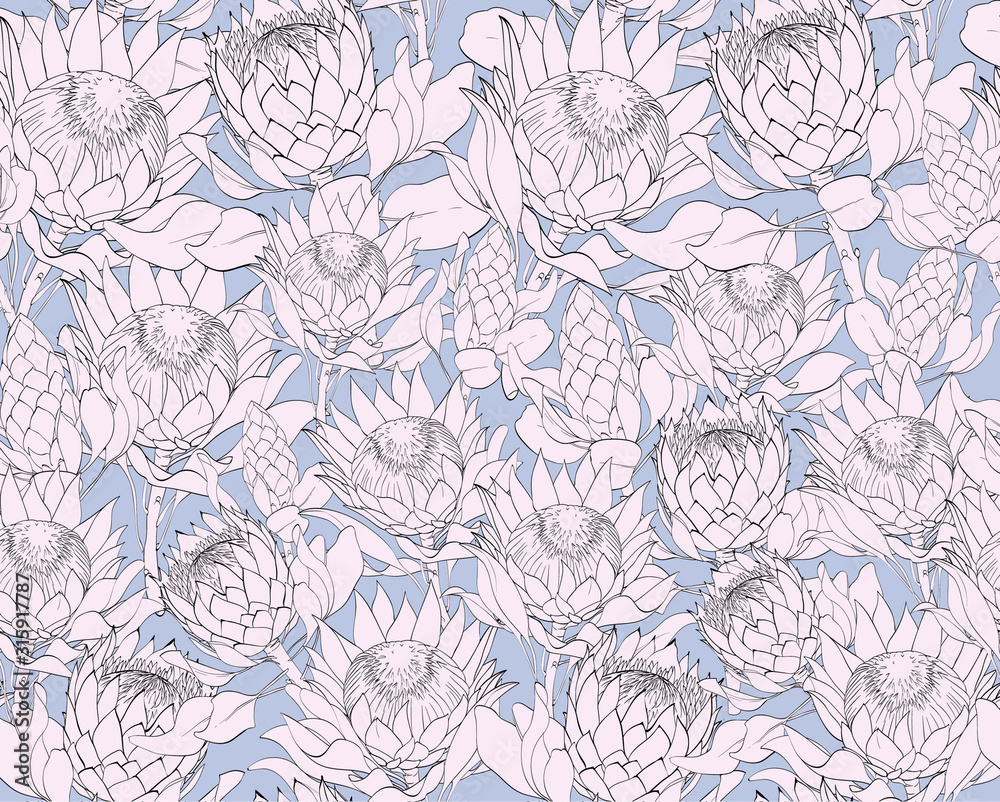 Vector pattern set of proteas.