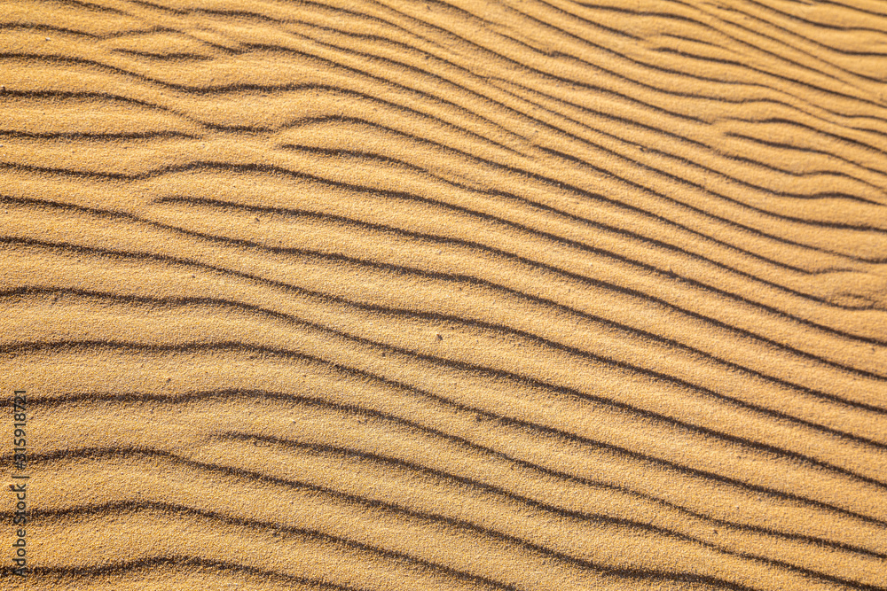 Sand on the beach forms strucktures and shapes on golden yellow fine sand background pattern holiday season summer travel vacation abstract line lines wave wavy Sand on the beach forms strucktures and shapes on golden yellow fine sand background pattern holiday season summer travel vacation abstract line lines wave wavy