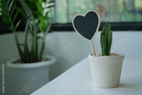 black wooden heart board in small pootted plant with cactus, empty card used for text with love