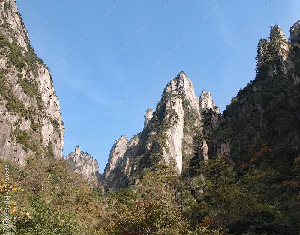 Huangshan Mountain in Anhui Province, China. View of mountain peaks, cliffs and trees at the lower part of West Sea or Xi Hai canyon on Huangshan. From the West Sea path on Huangshan Mountain, China.