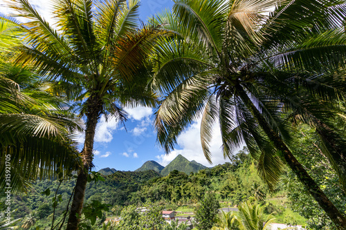 Fort de France, Martinique, FWI - View to the Carbet Pitons from Balata gardens photo