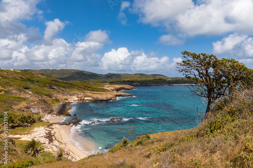 Wallpaper Mural Sainte-Anne, Martinique, FWI - Ferré Cape - Trou Cadia Torontodigital.ca