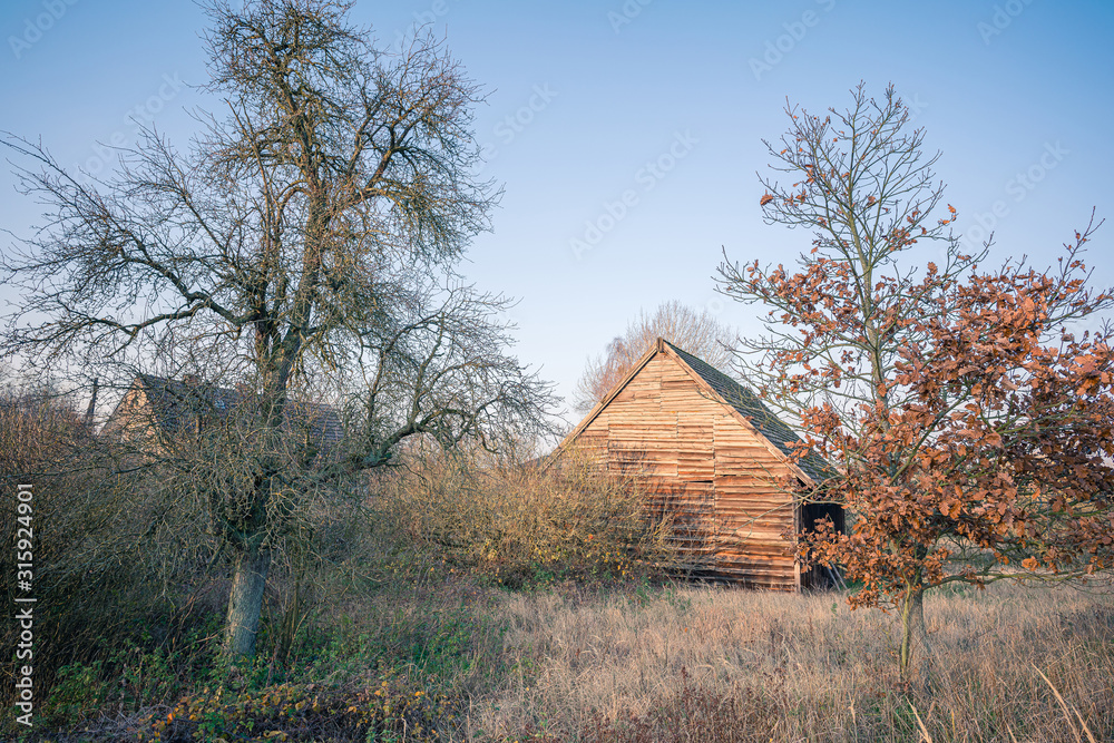 An old, abandoned barn in an old fruit orchard. Autumn. Trees without leaves. An old, abandoned barn in an old fruit orchard. Autumn. Trees without leaves.
