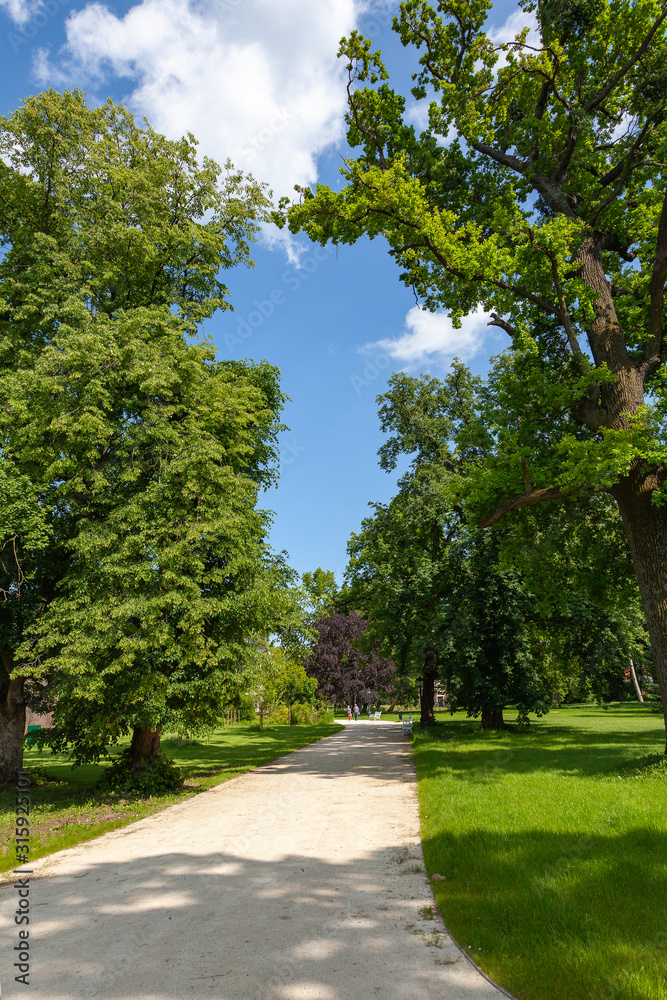 A gravel path in a park with beautiful trees along which are two women whose faces are not visible