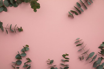 Border of eucalyptus leaves on a pastel pink background. Lay flat