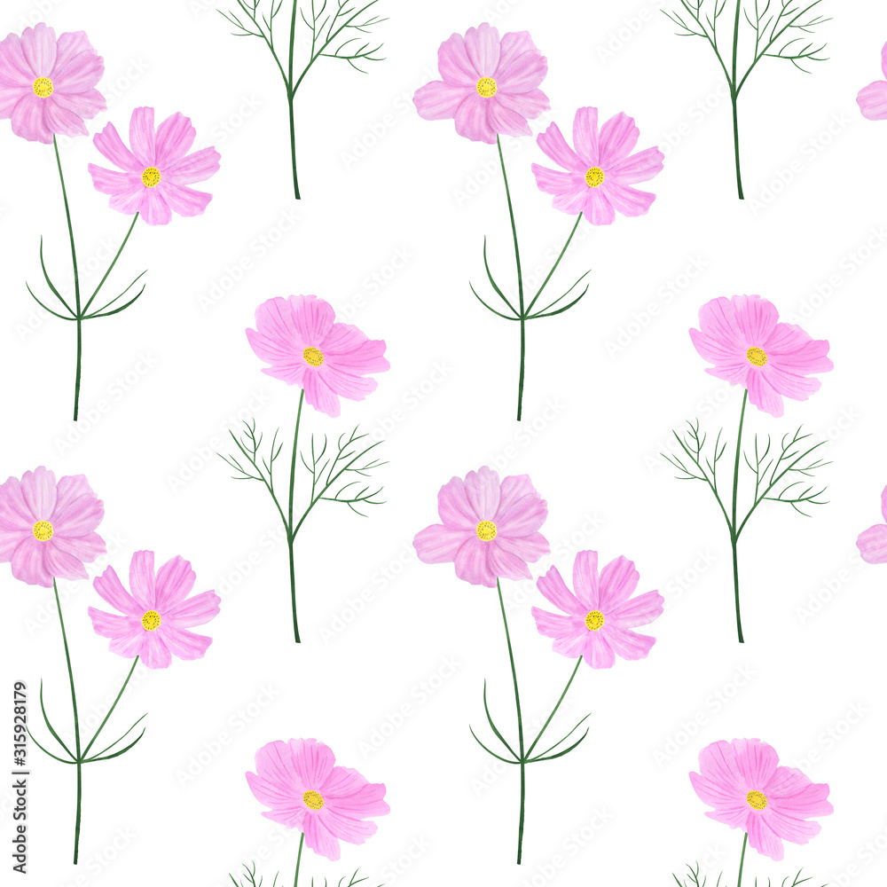 Seamless pattern Cosmea flowers watercolor botanical illustration