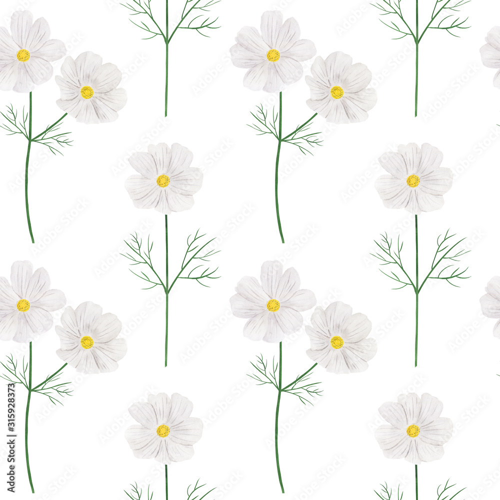Fototapeta premium Seamless pattern Cosmea flowers watercolor botanical illustration