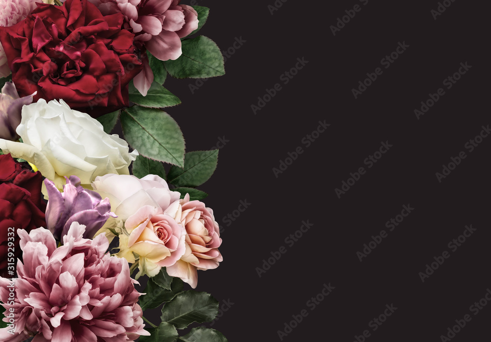 Fototapeta Baner kwiatowy, nagłówek z miejsca kopiowania. Białe i czerwone róże, ciemnoróżowa piwonia, chryzantema na białym tle na ciemnym tle. Tapeta z naturalnymi kwiatami lub kartkę z życzeniami.