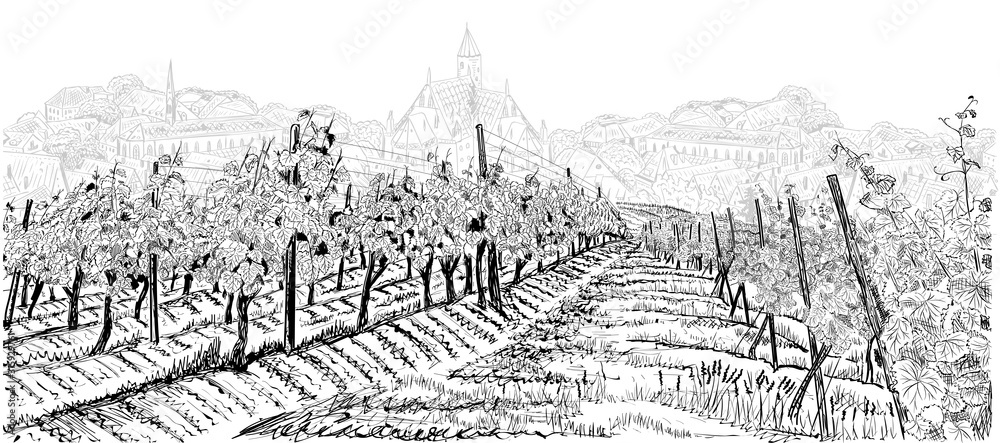 Vineyard landscape with grapes field and old town on background hand drawn sketch vector illustration isolated on white