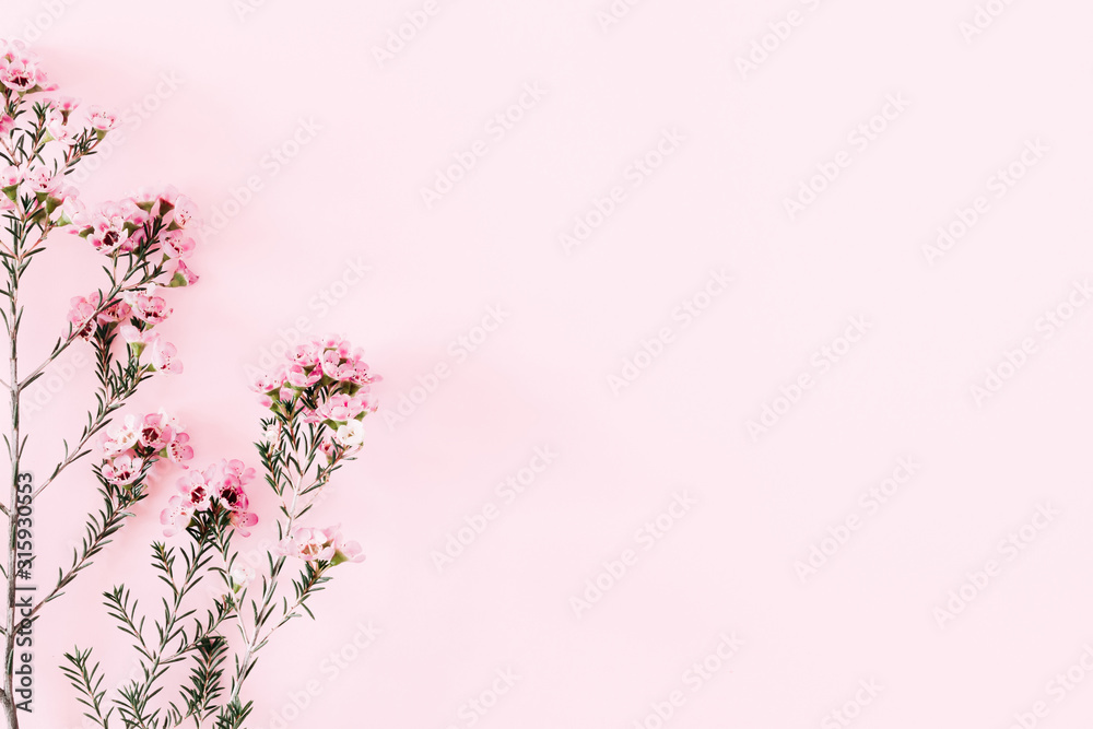 Beautiful flowers composition. Pink flowers on pastel pink background. Valentines Day, Easter, Birthday, Happy Women's Day, Mother's day. Flat lay, top view, copy space Beautiful flowers composition. Pink flowers on pastel pink background. Valentines Day, Easter, Birthday, Happy Women's Day, Mother's day. Flat lay, top view, copy space
