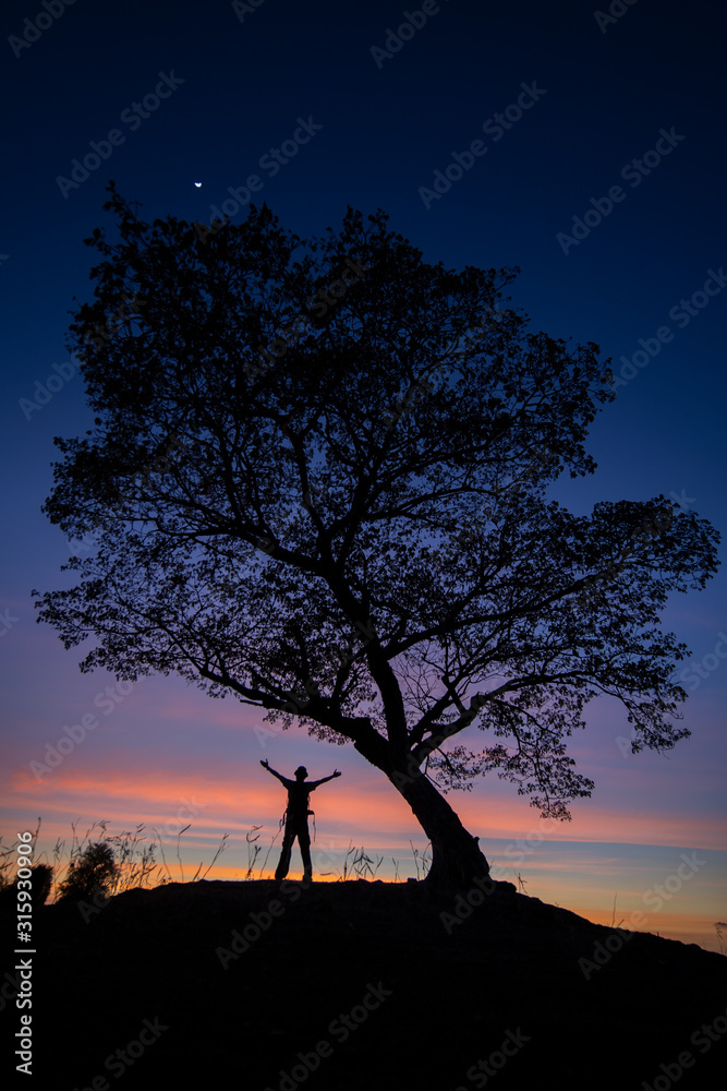 Silhouette of a lone man and a tree during sunset time