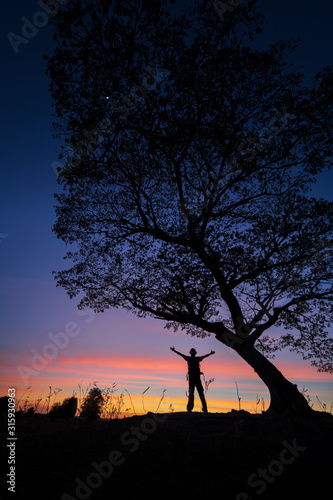 Silhouette of a lone man and a tree during sunset time