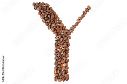 Coffee beans. Letter Y made from coffee beans on a white background. Brown