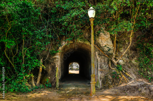 Túnel, árvore, natureza